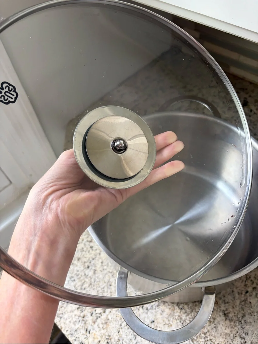 Schulte-Ufer Stainless Steel 4 Quart Pot with lid